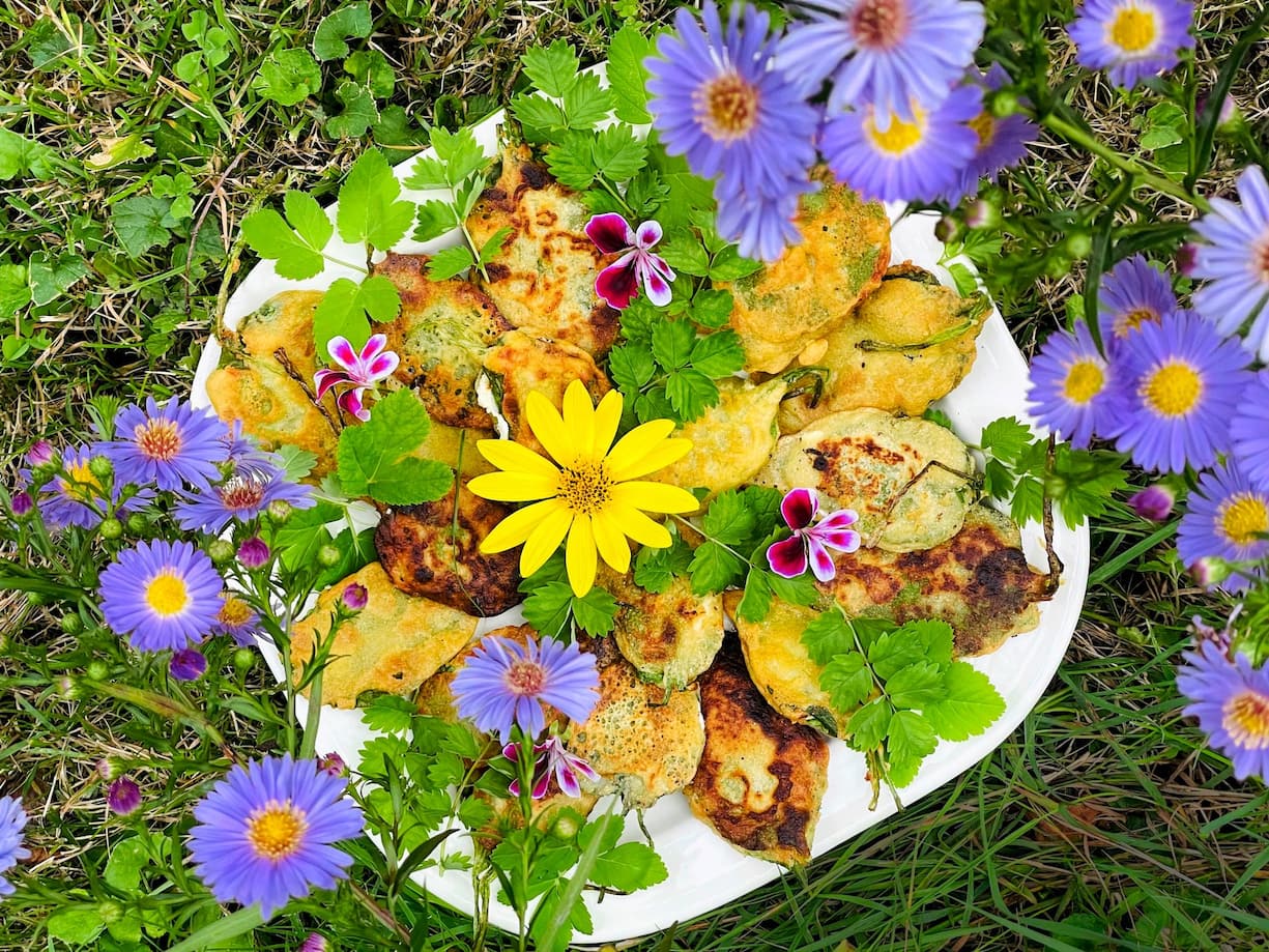 La botaniste Françoise Marmy propose un week-end à la chartreuse de la Part-Dieu pour découvrir la cuisine sauvage, de la cueillette des plantes à la dégustation de plats succulents.