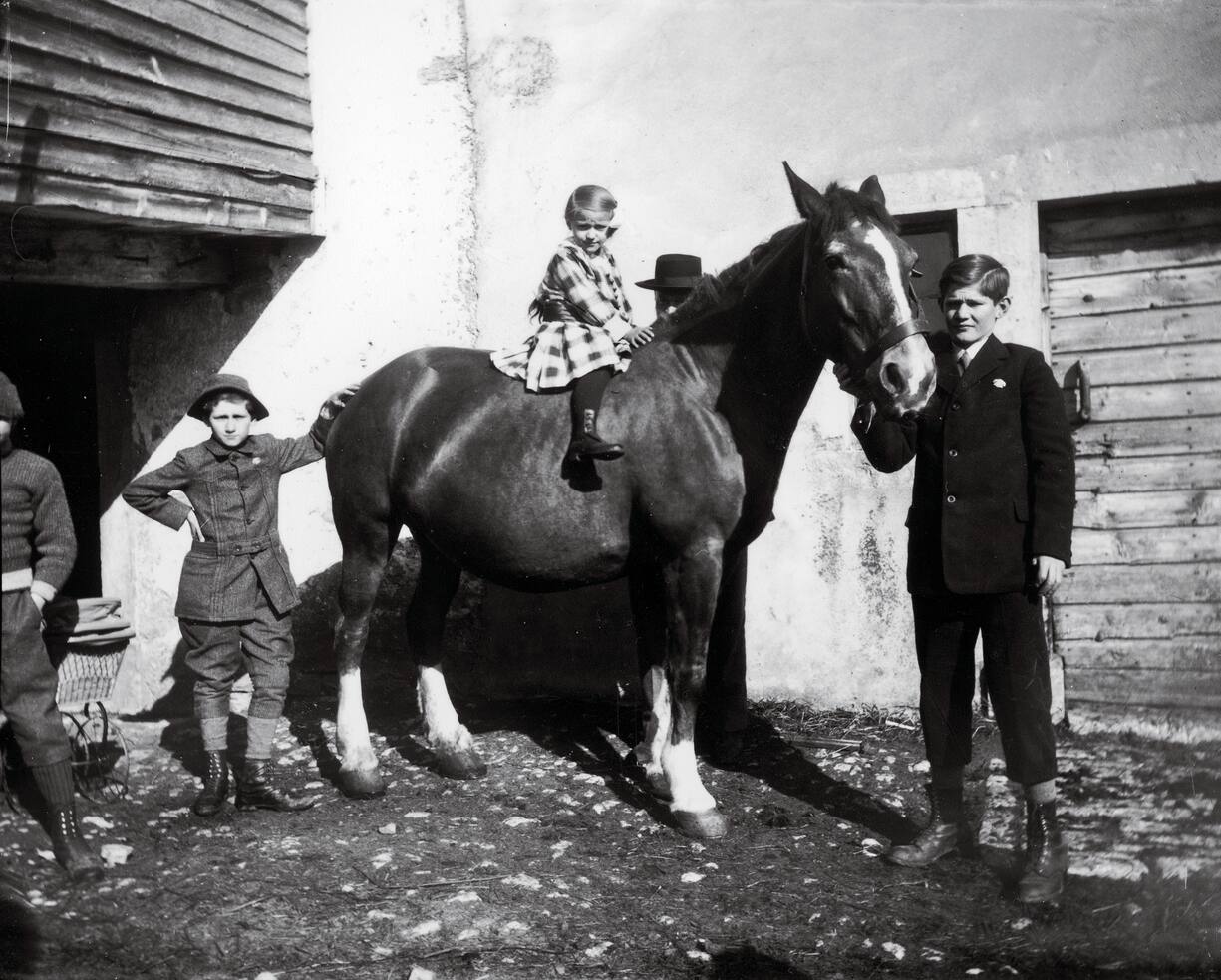 jeune fille sur un cheval