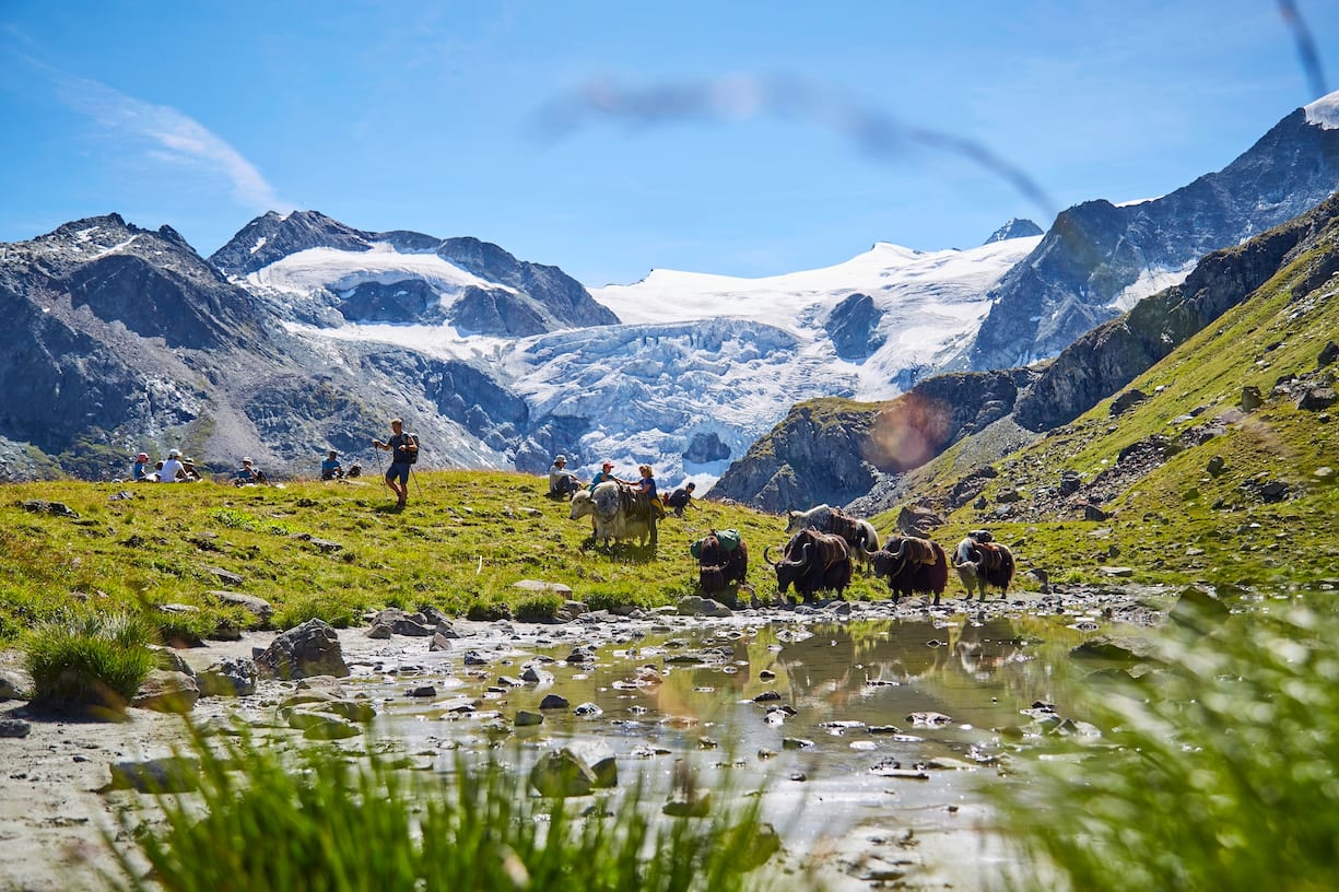 Pionnière de l'élevage de yaks en Europe, Rosula Blanc organise des treks dans le Val d'Hérens en Valais