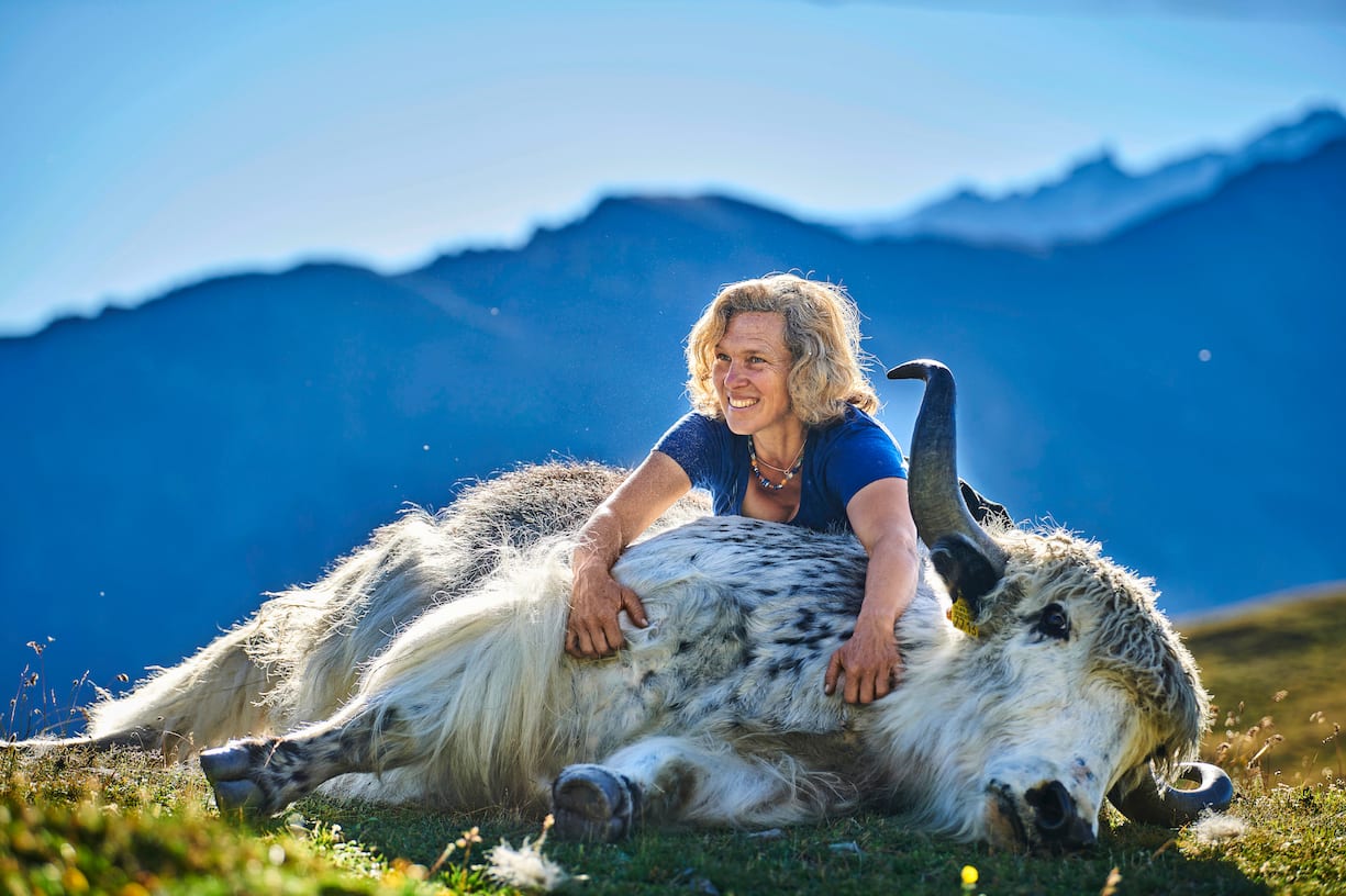 Pionnière de l'élevage de yaks en Europe, Rosula Blanc organise des treks dans le Val d'Hérens en Valais
