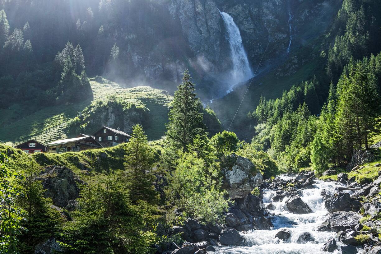 Paysage cascade