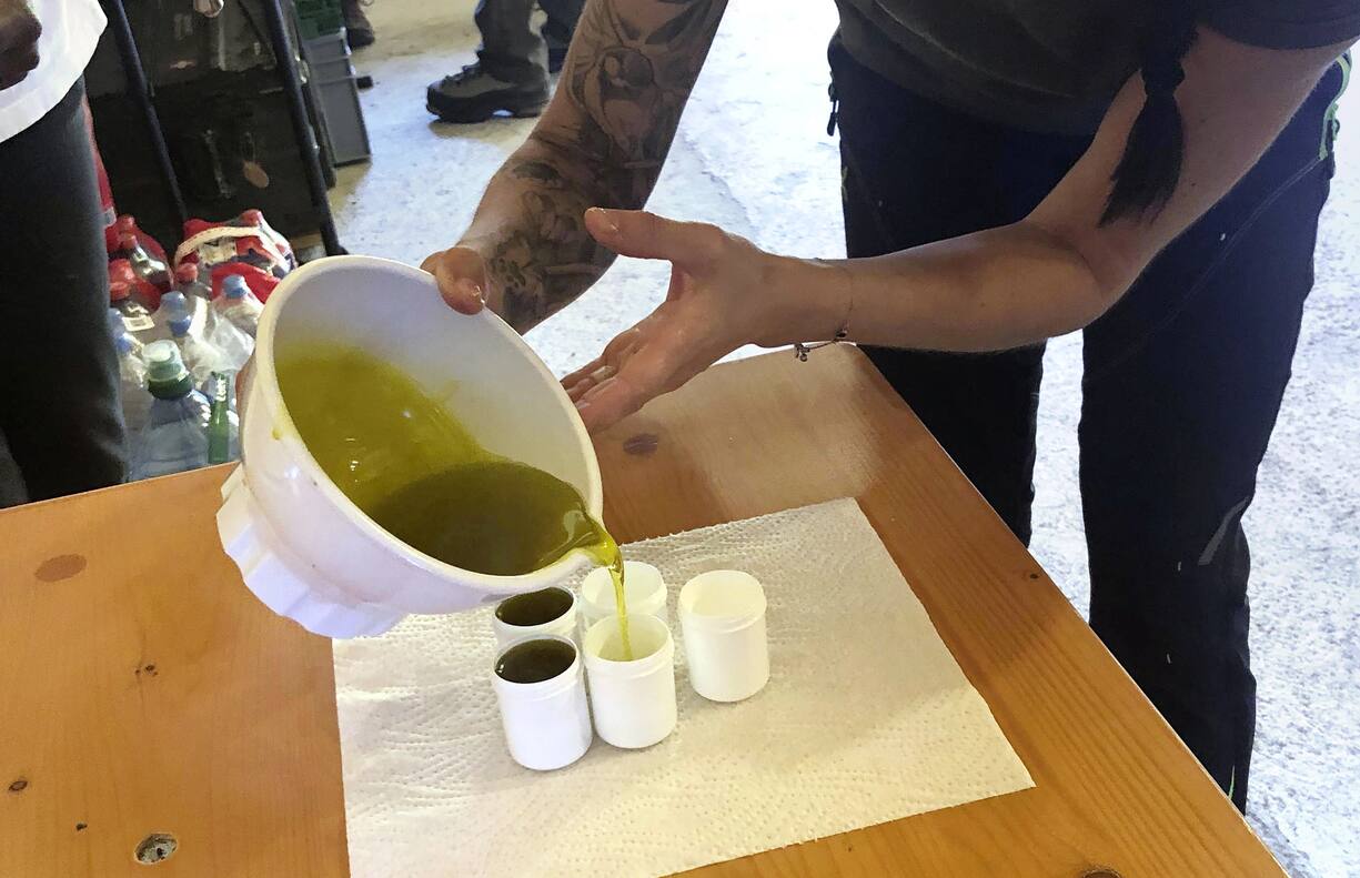 Compte rendu ATELIER PLANTES MEDICINALES, Roggen