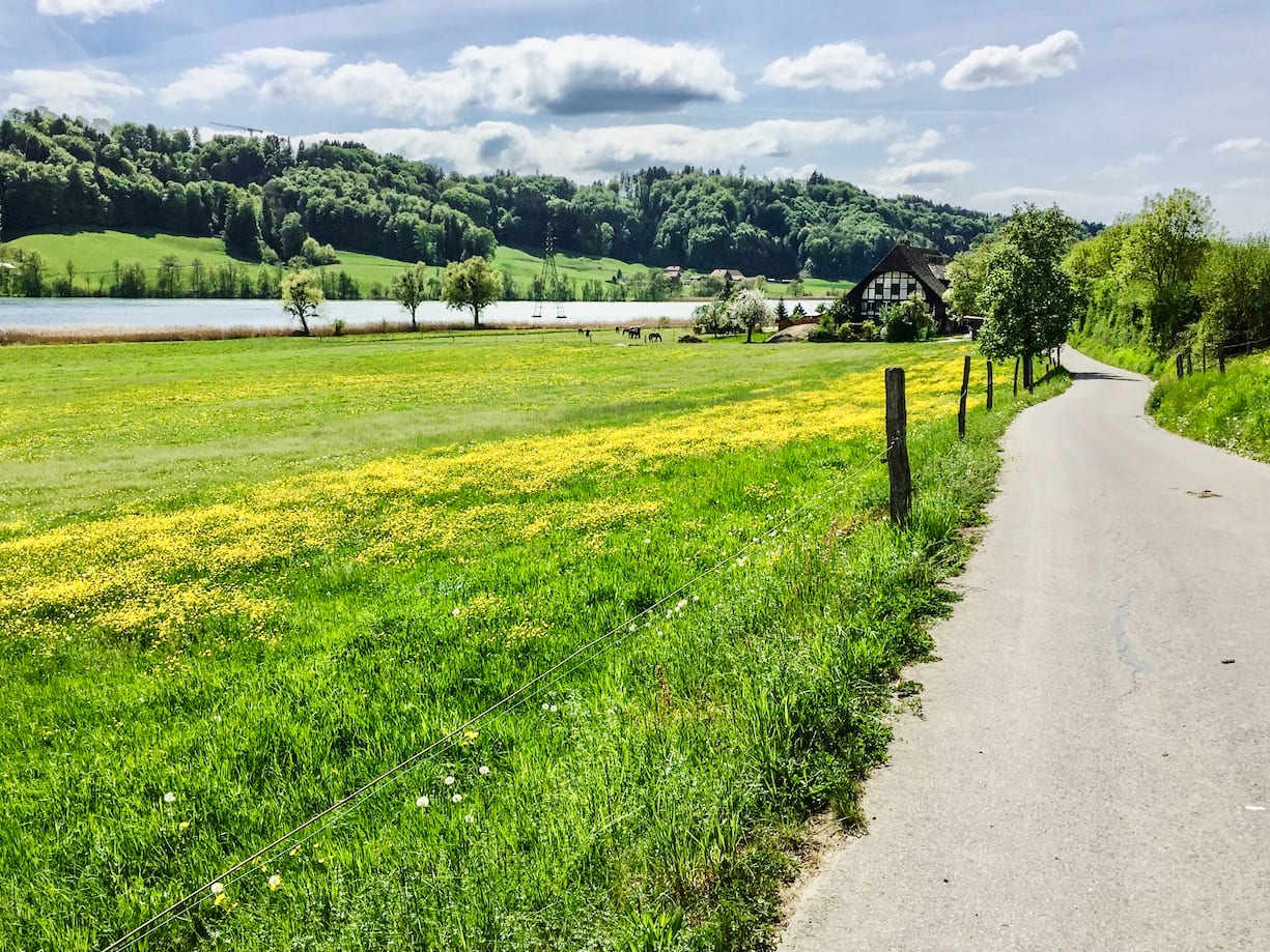 guide vélo