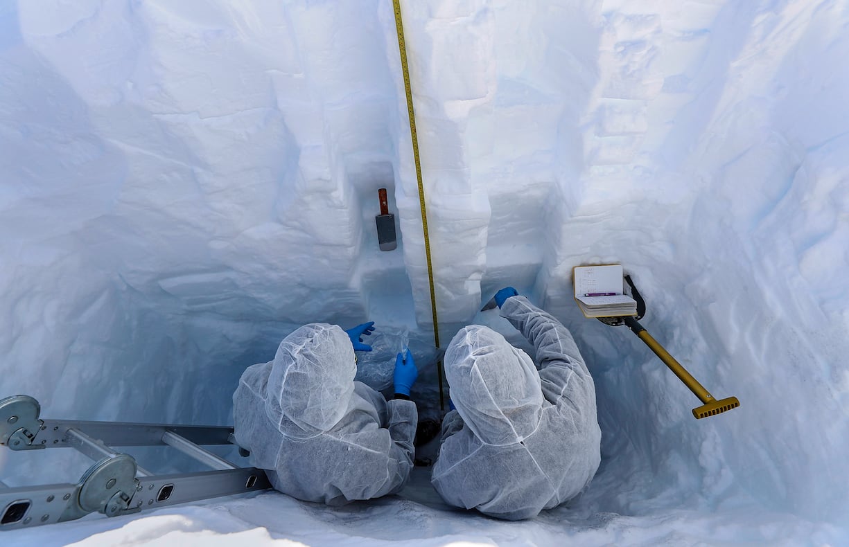 Antarctique