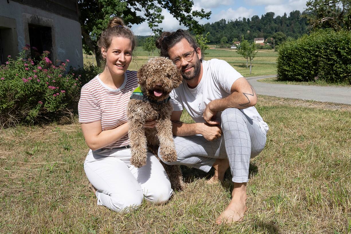 chiens au travail