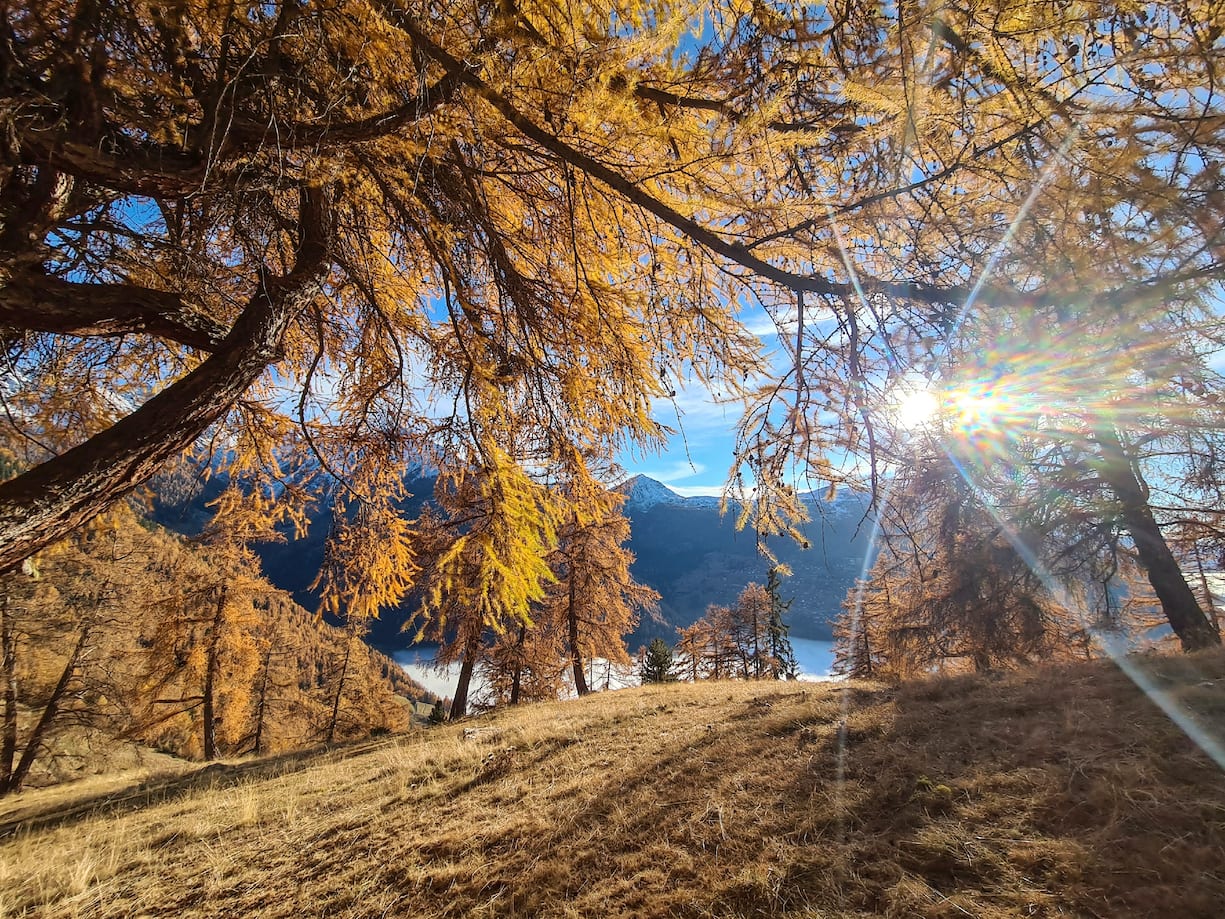 Valais