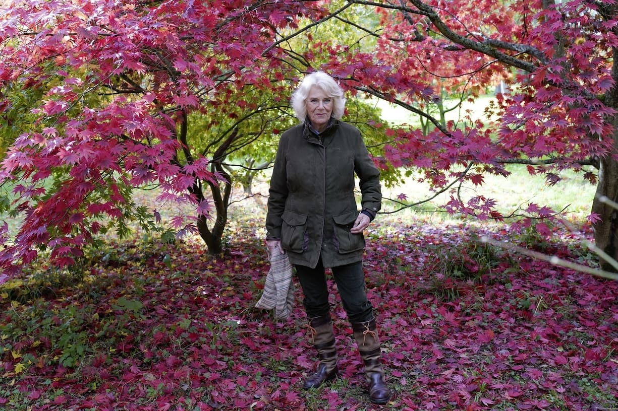 Camilla Parker Bowles