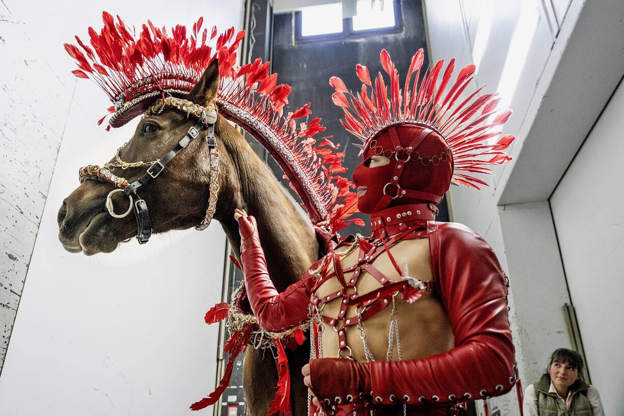 Le collectif FC Bergman a fait entrer des chèvres et des chevaux sur la scène du Grand Théâtre.