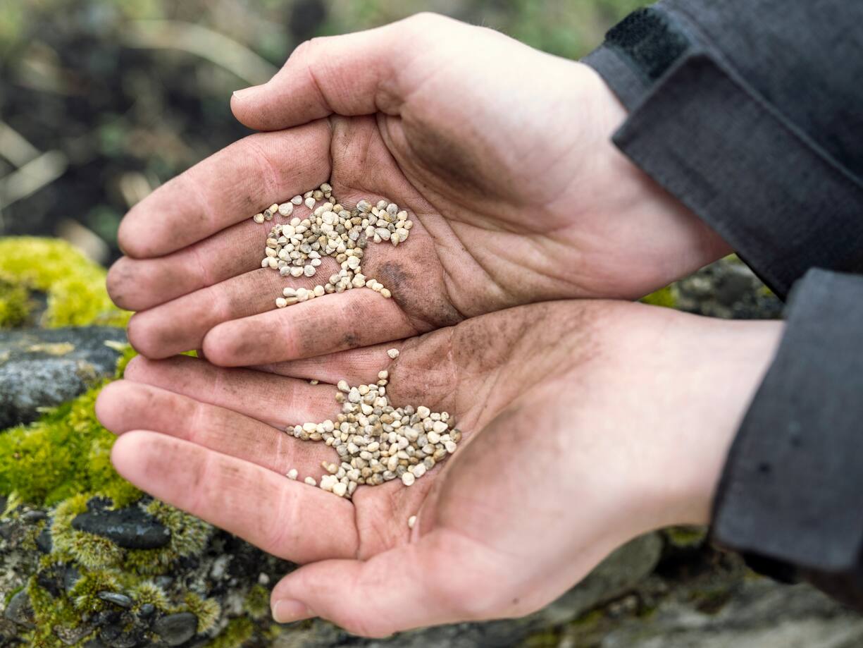 Atelier Potager avec la famille Zollinger