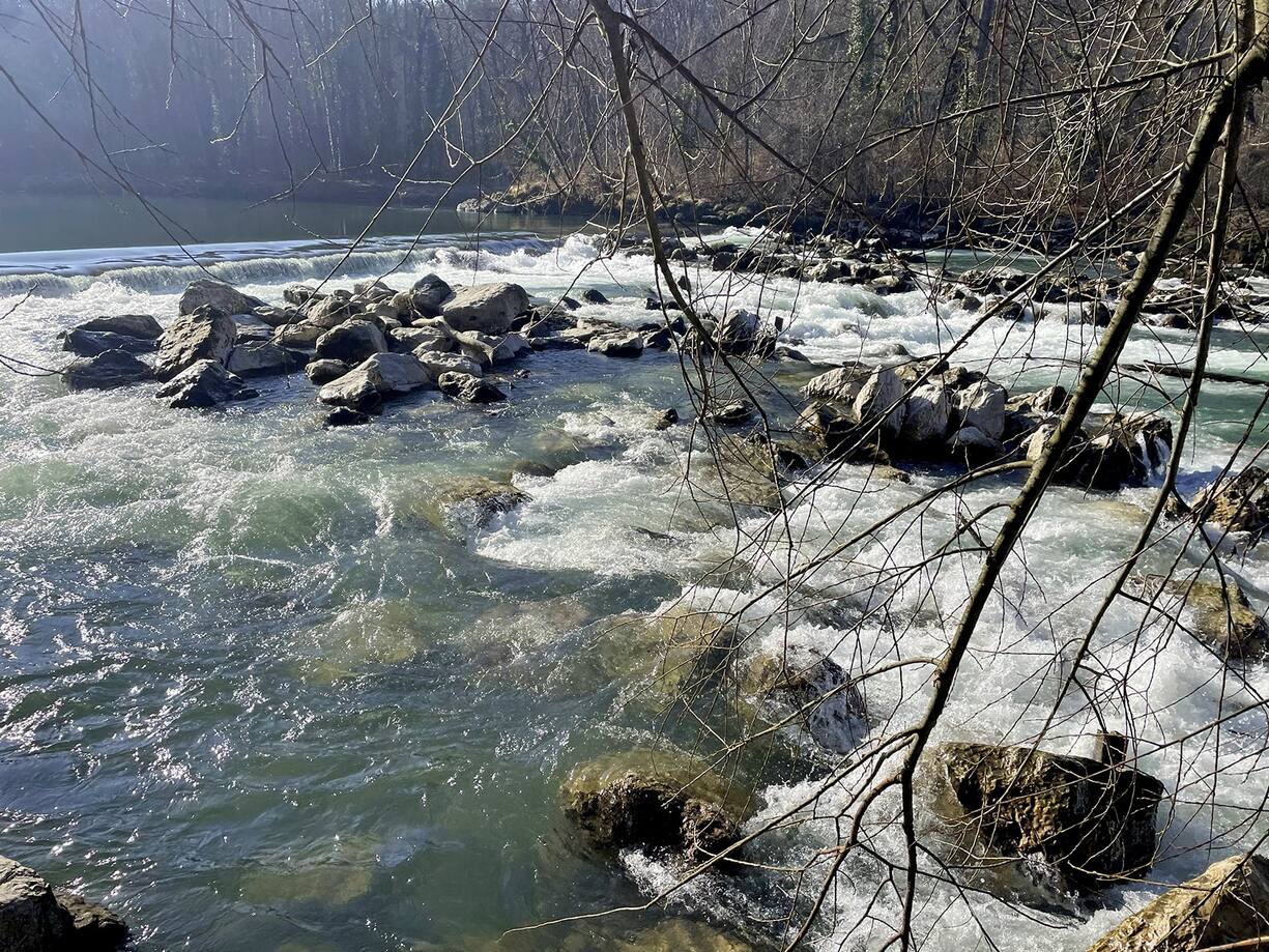 L'Arve