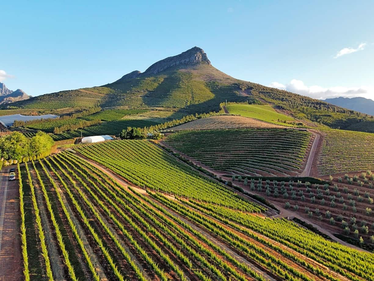 Stellenbosch