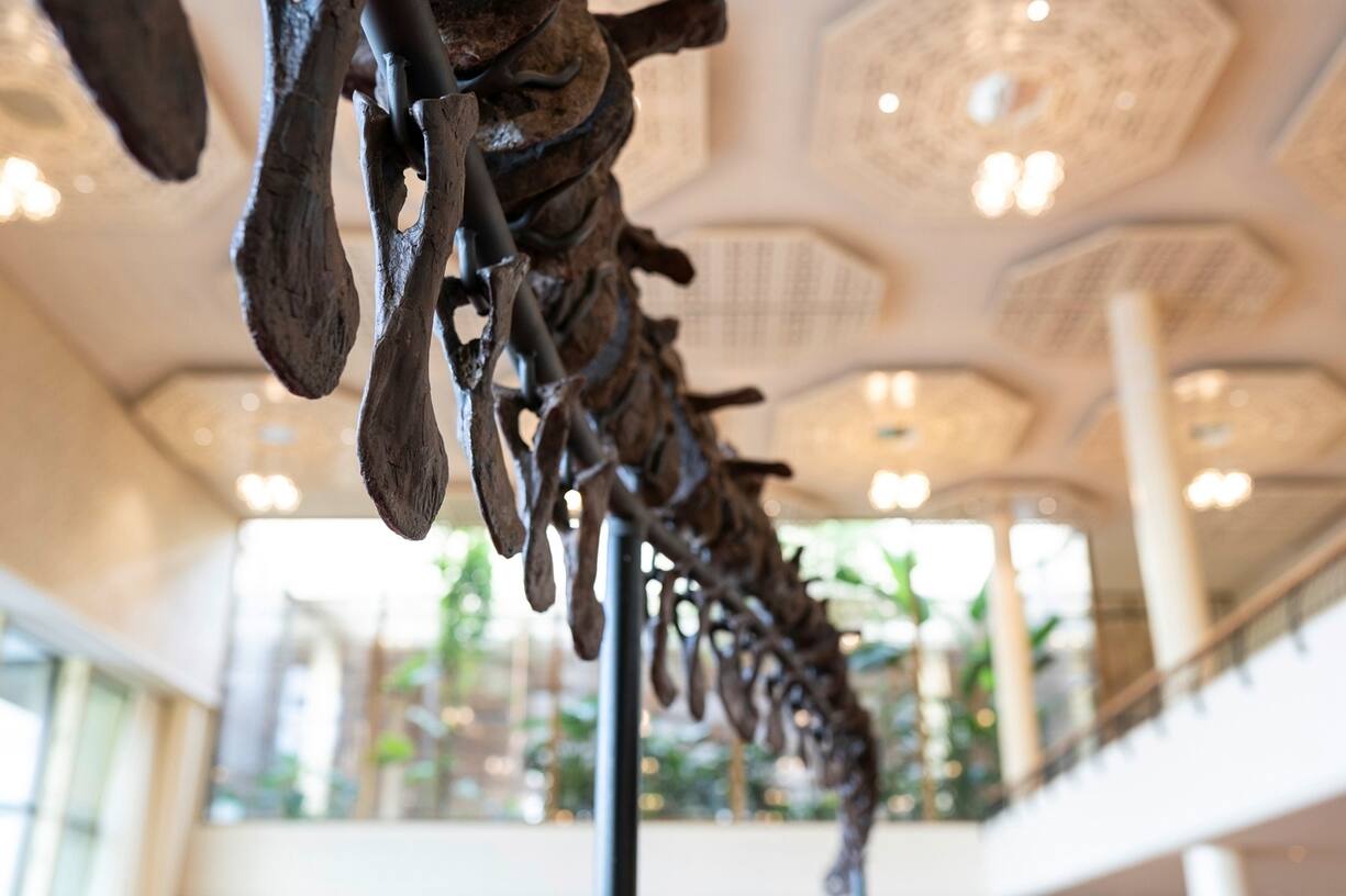 T-Rex Trinity