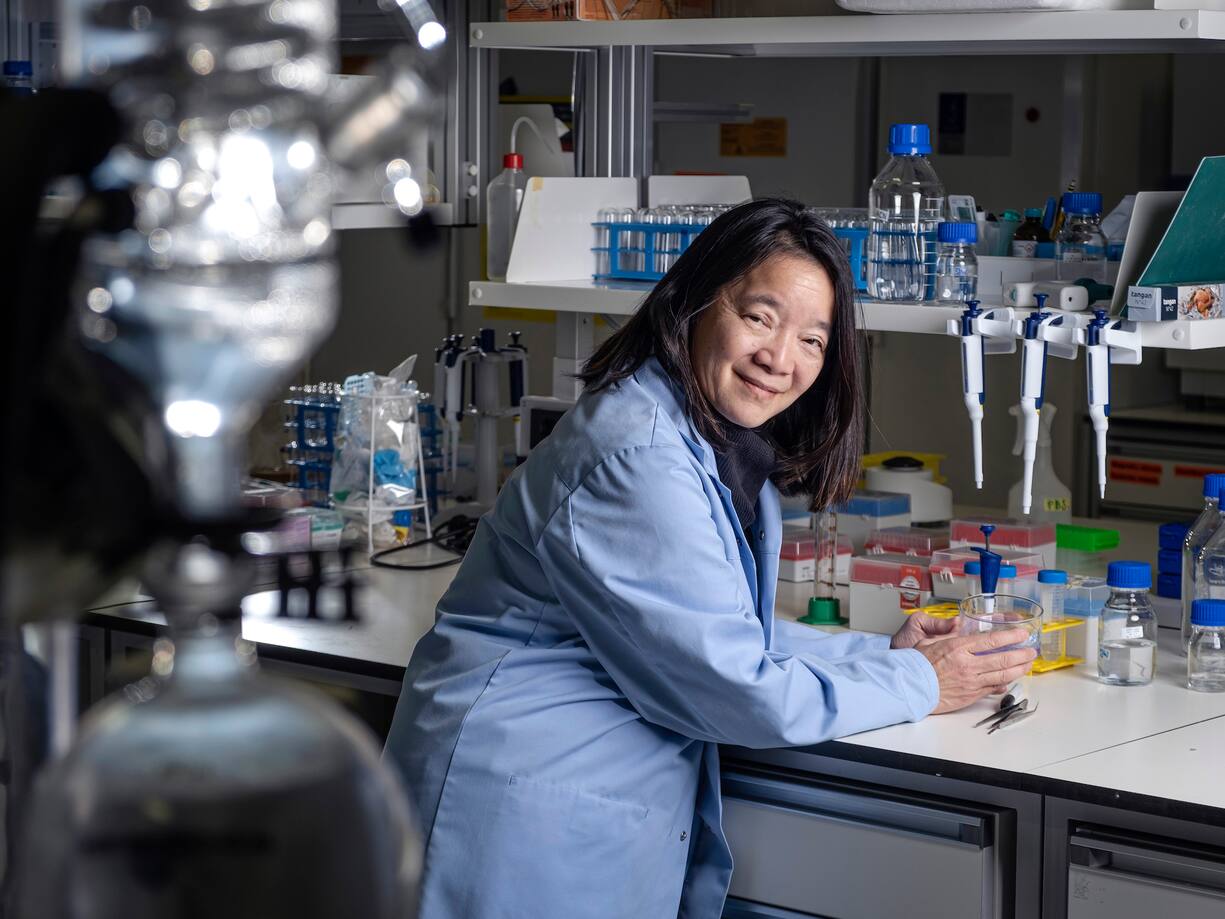 La professeure Marcy Zenobi-Wong, responsable du laboratoire de recherche fondamentale en ingénierie des tissus et biofabrication à l’ETH de Zurich.