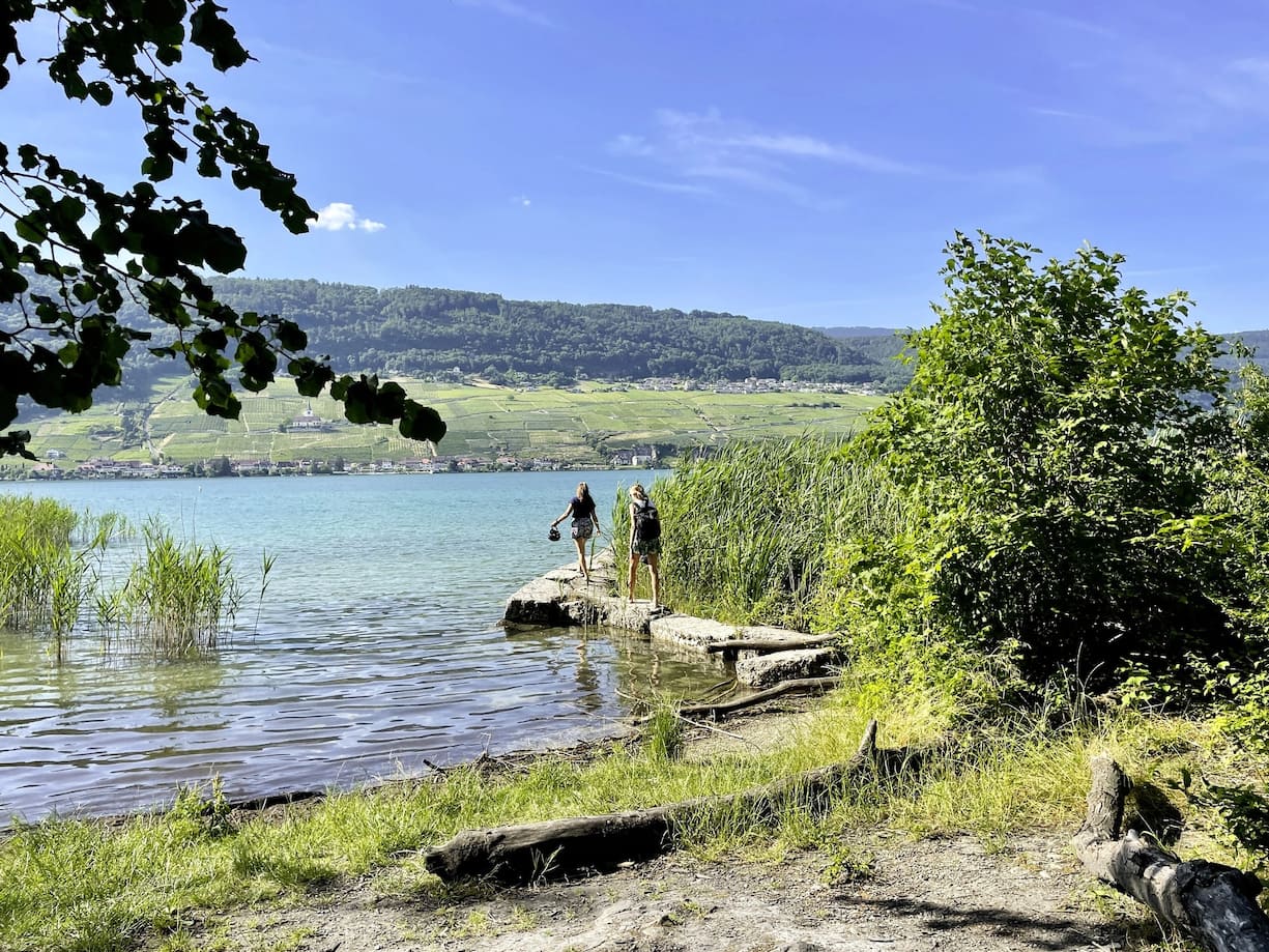 île Saint-Pierre