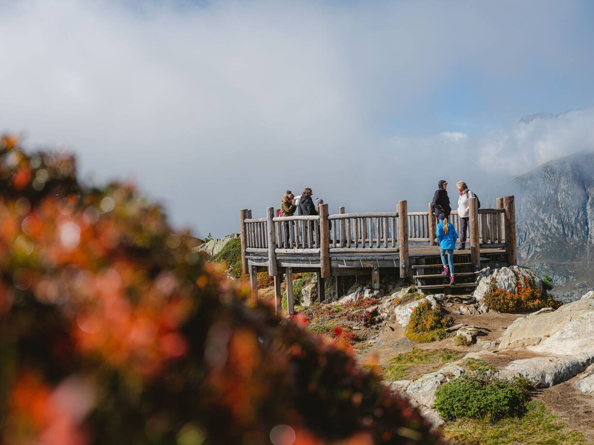 View Point Moosfluh im Sommer