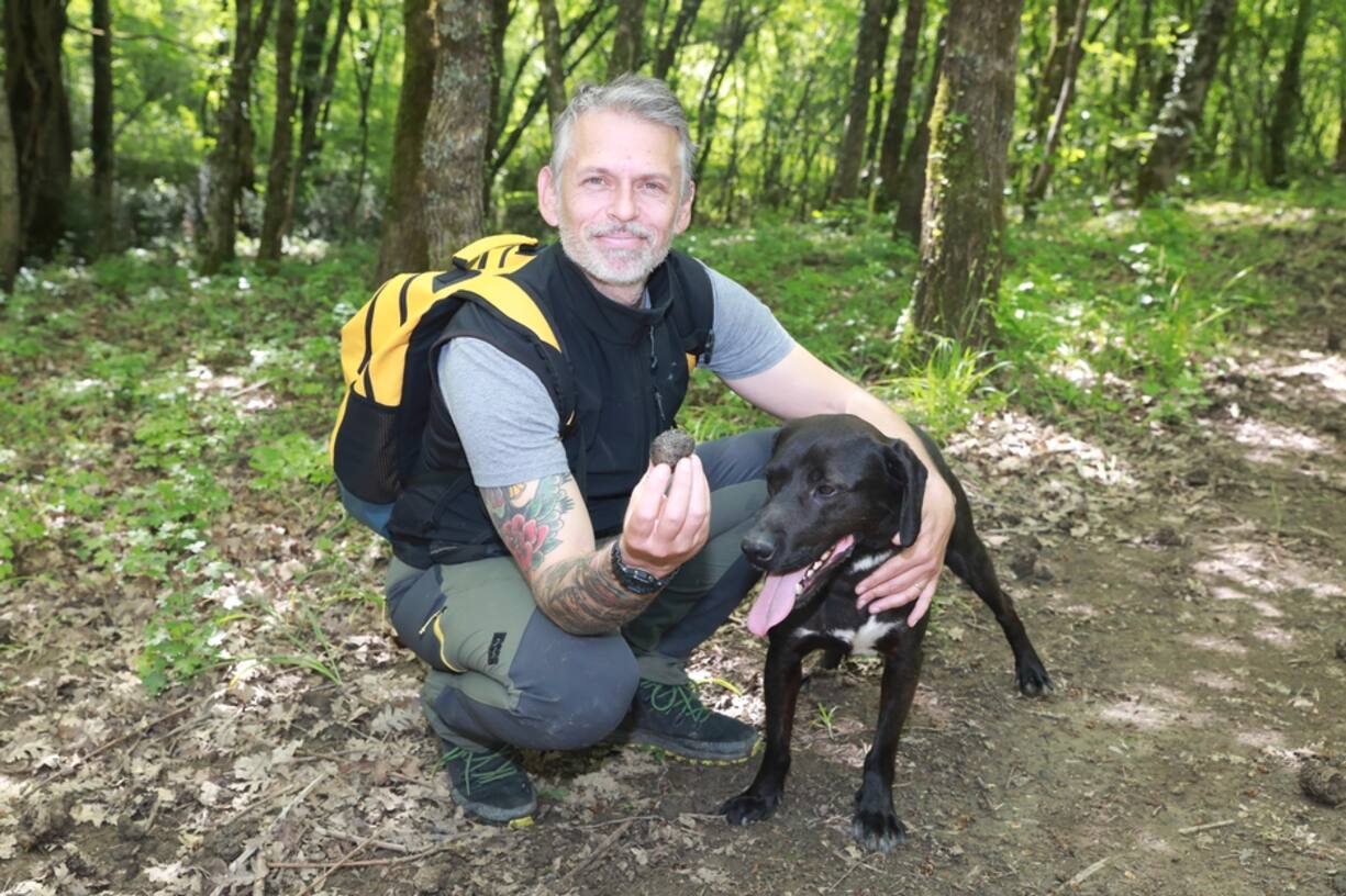La chasse à la truffe dans la vallée de la Mirna