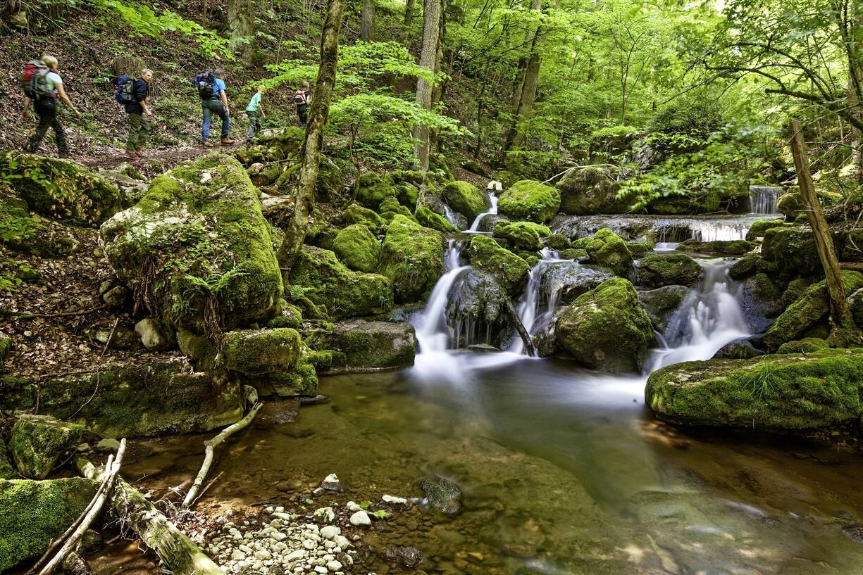 Les gorges de Douanne
