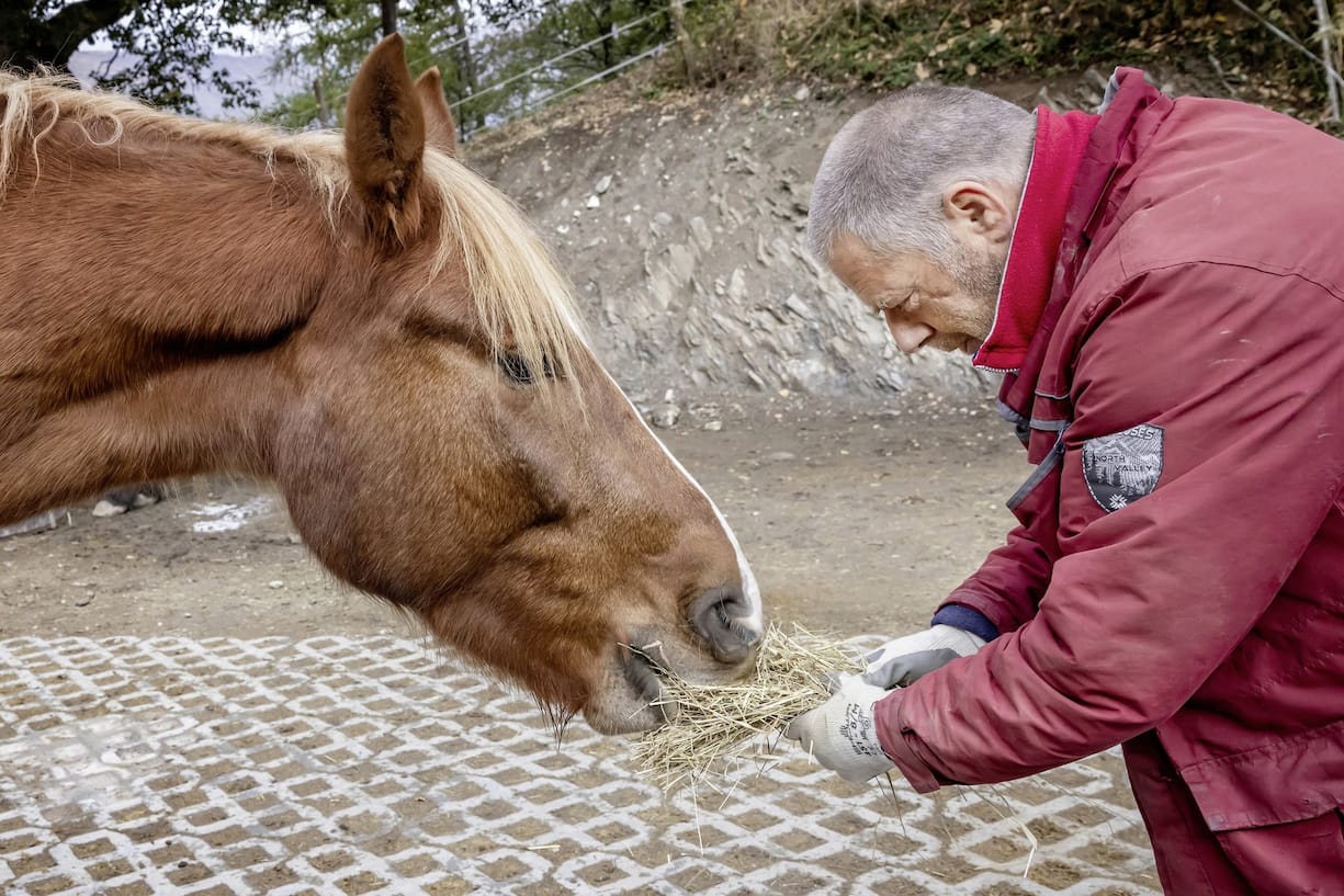 Frédéric avec son cheval Waterloo, reportage équithérapie