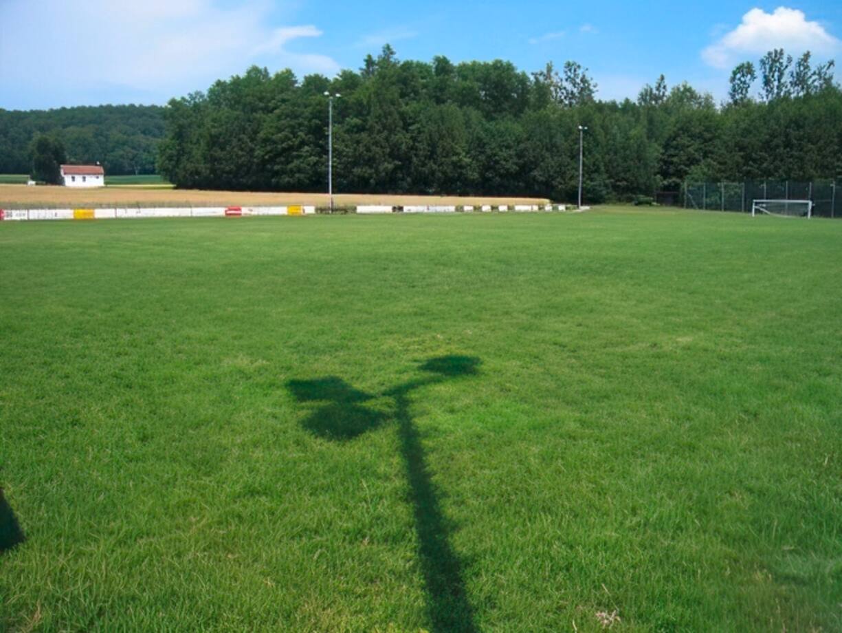 Nicole Petignat a toujours aimé les terrains de foot.