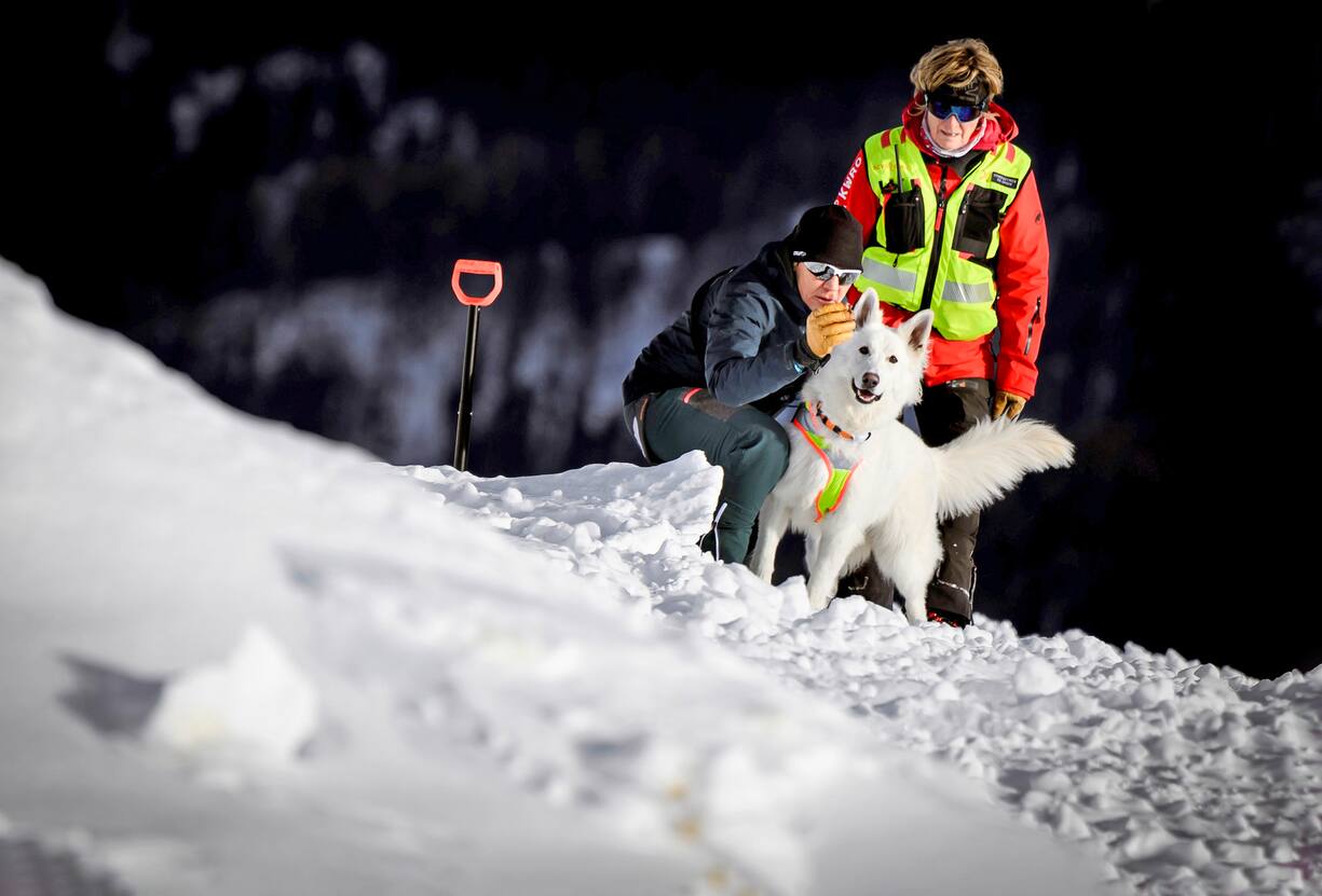 Formation chiens d'avalanche: Shiro, le berger blanc de Nicole Langenegger Roux.