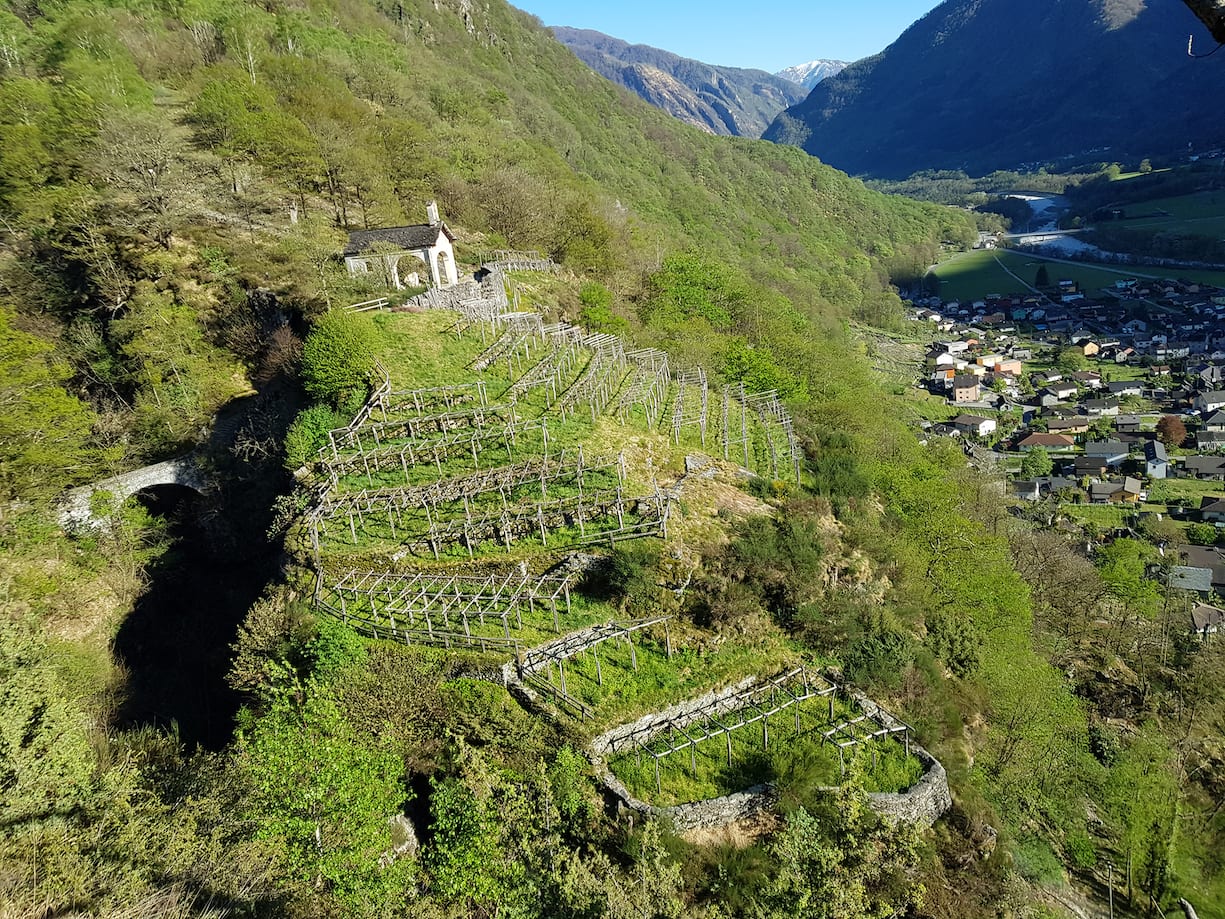 Garzoli Vini Sagl