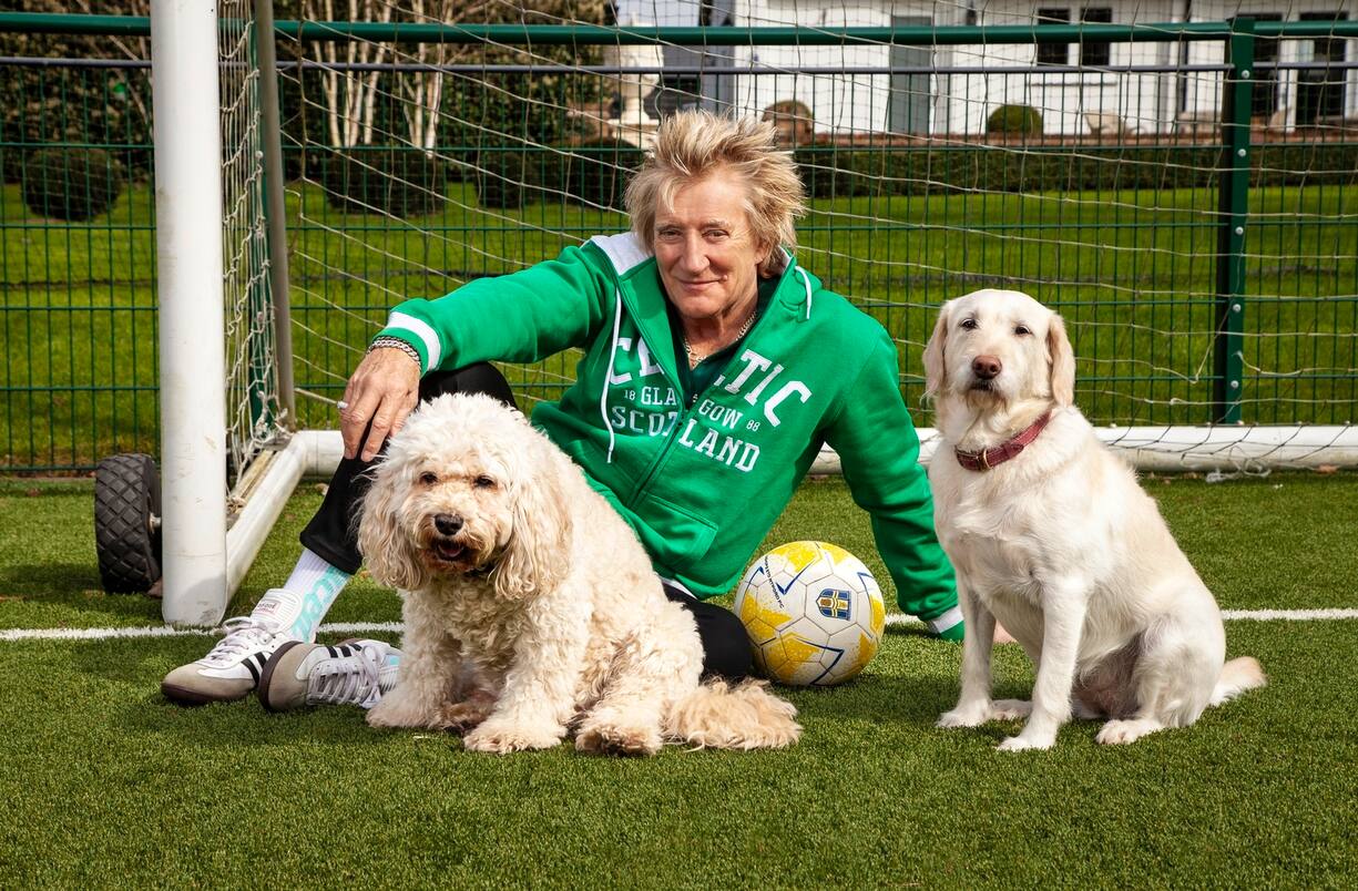Le musicien écossais Rod Stewart