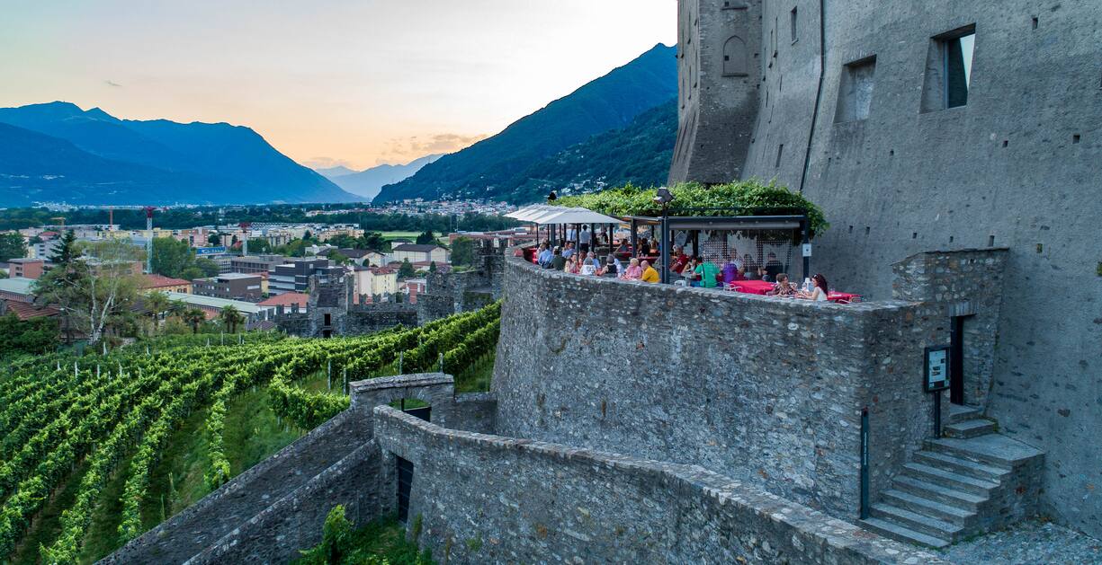 Swiss Wine 6