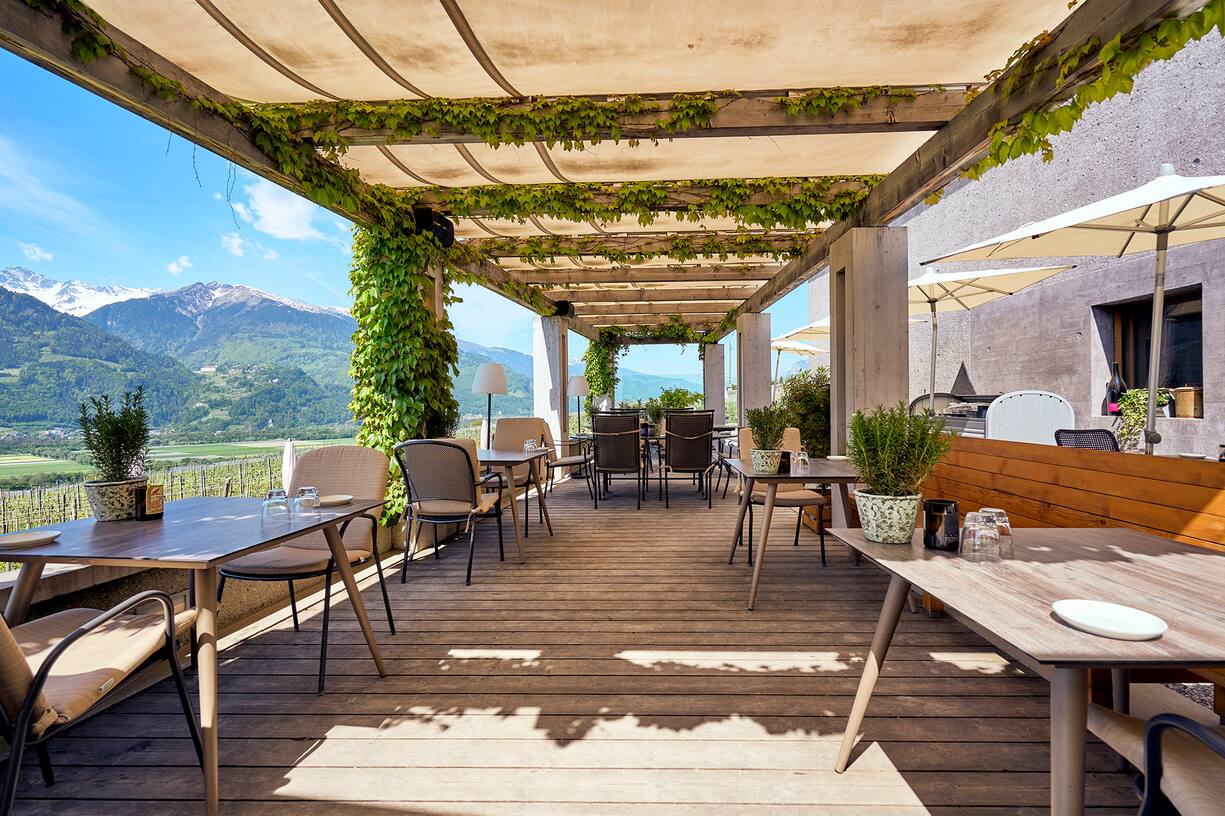 Swiss Wine 8