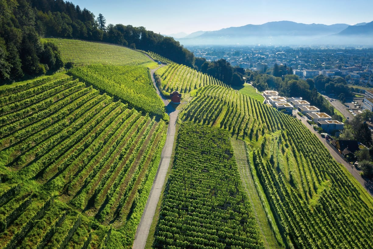 Weingut Schmidheiny