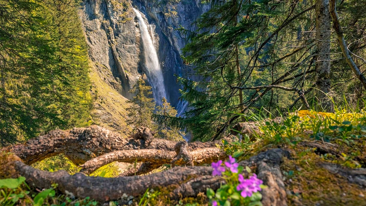 La réserve naturelle du Suldtal