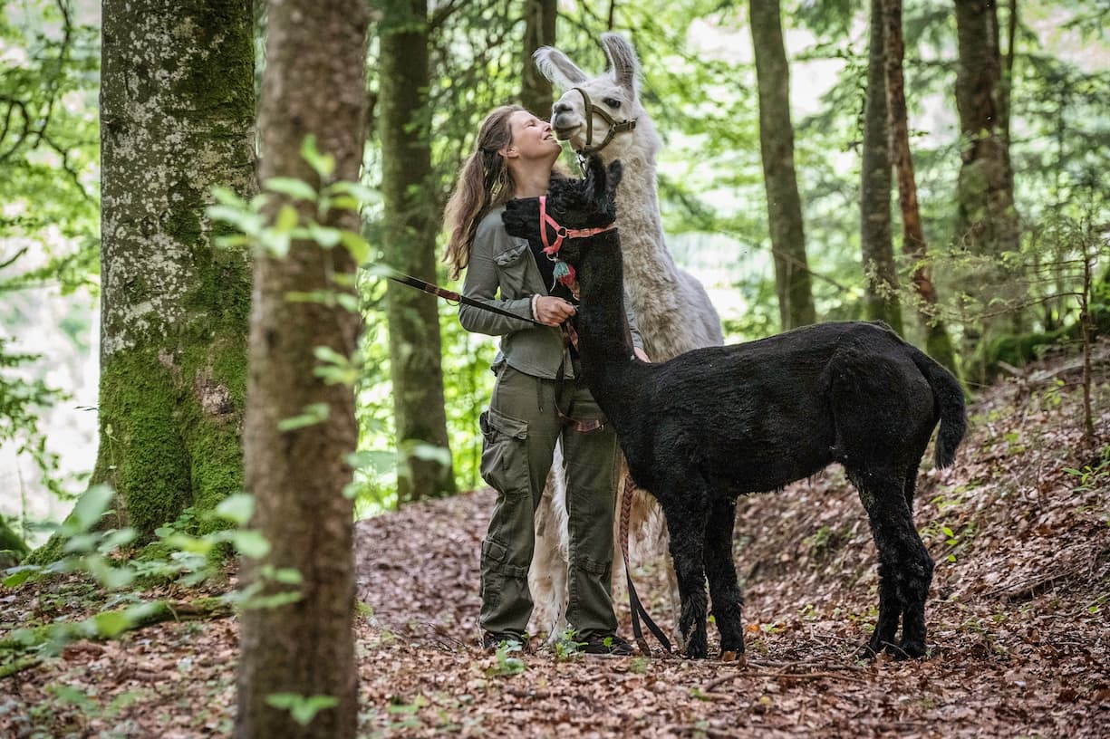 L’accompagnatrice Pamela Gruaz organise des promenades guidées par l’amour des animaux et la quête de la compréhension du fonctionnement des lamas et des alpagas.
