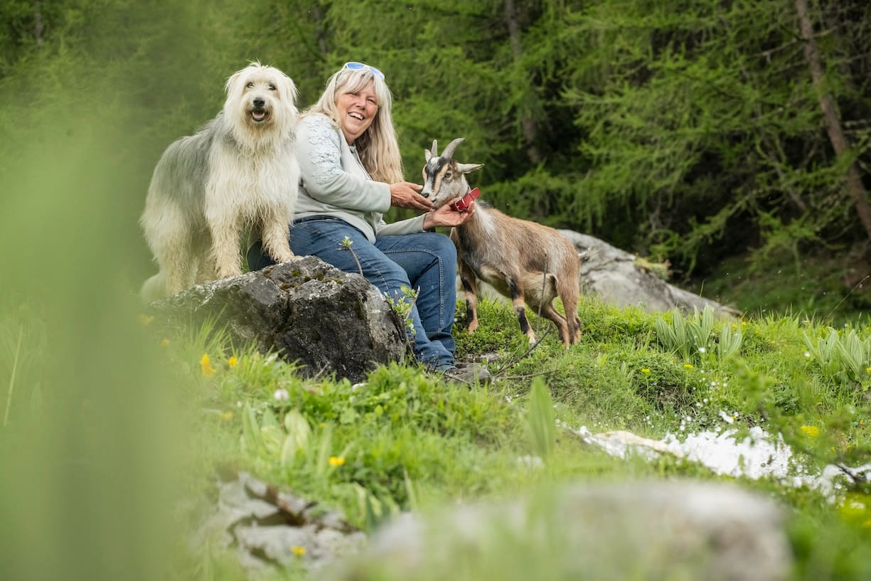 Patricia Wyssenbach organise des randonnées avec ses chèvres naines et ses deux chiens de berger.
