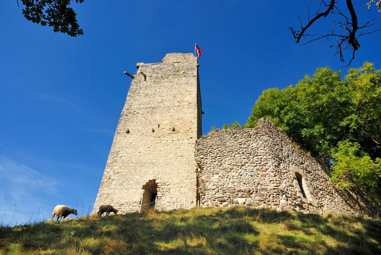 La tour Saint-Martin