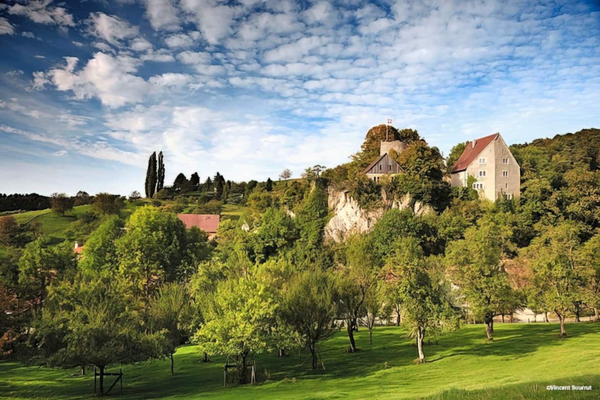 Le château de Pleujouse
