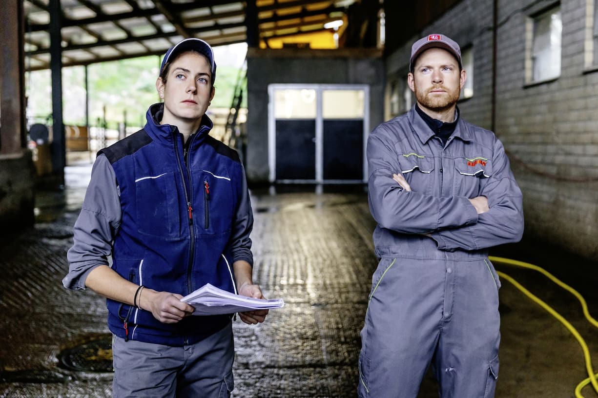 Visite à la ferme Roy à Porrentruy un jour de soins vétérinaires où les vaches sont atteintes de la maladie de la langue bleue