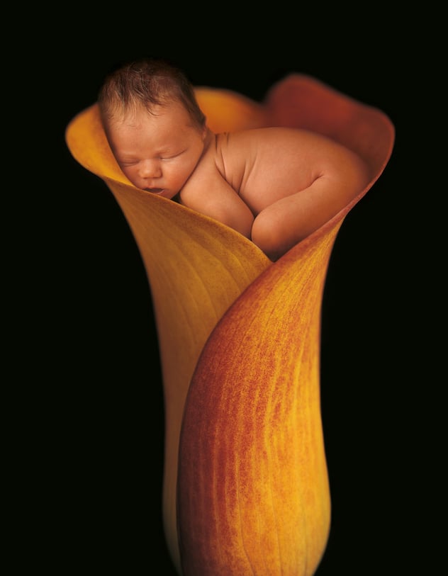 Bébé