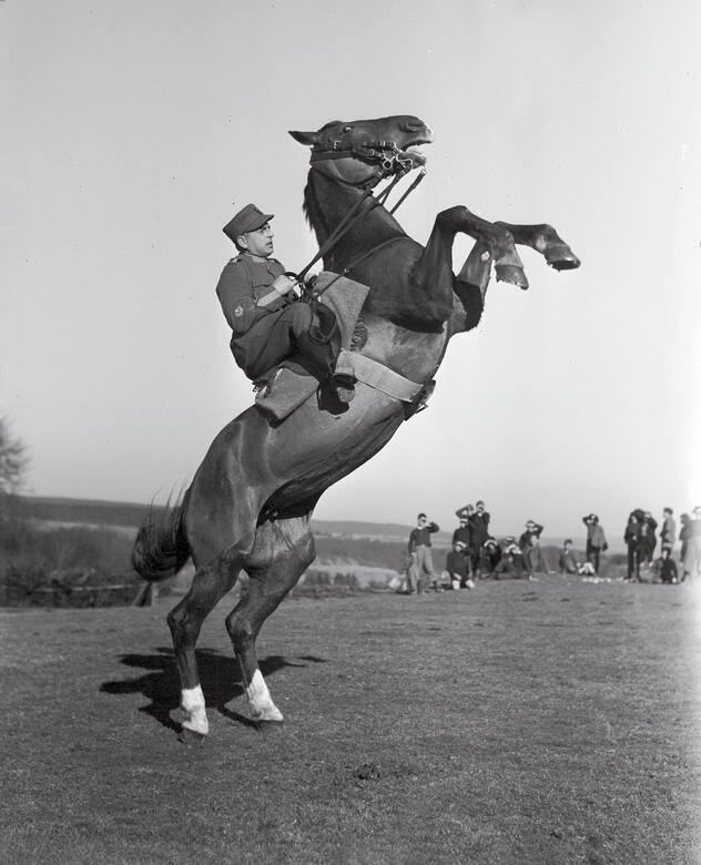 Capitaine Grundbacher