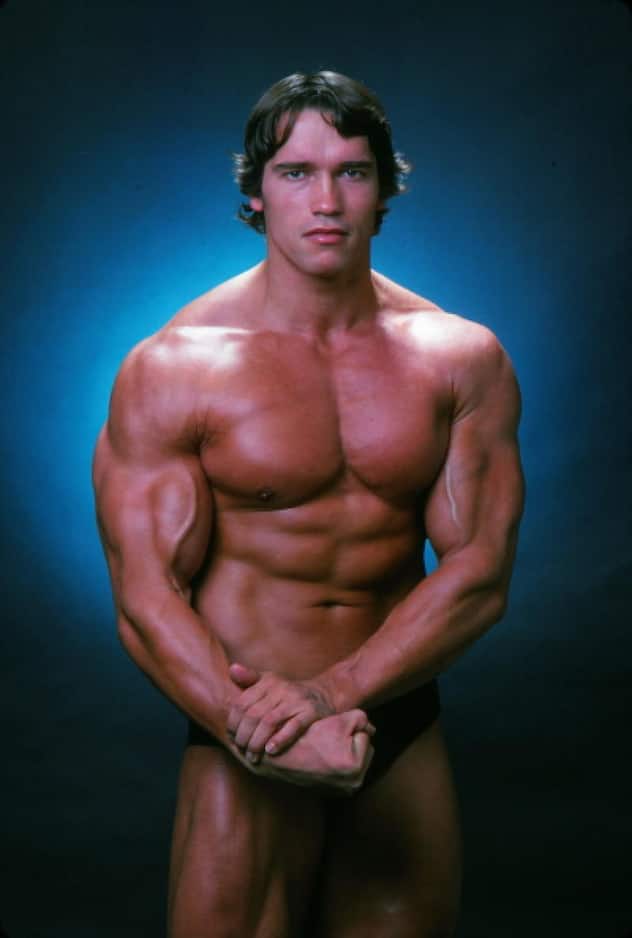 VIP ARNOLD SCHWARZENEGGER