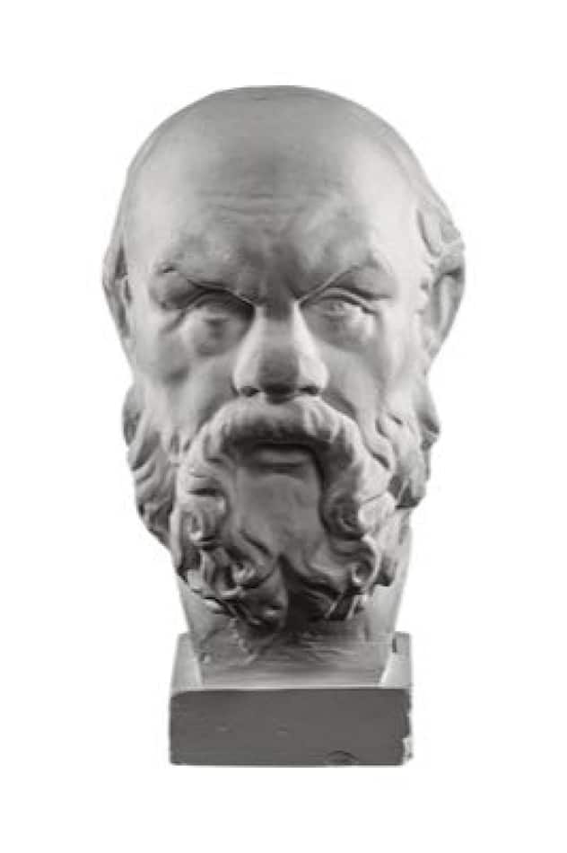 Mâles au cheveux
