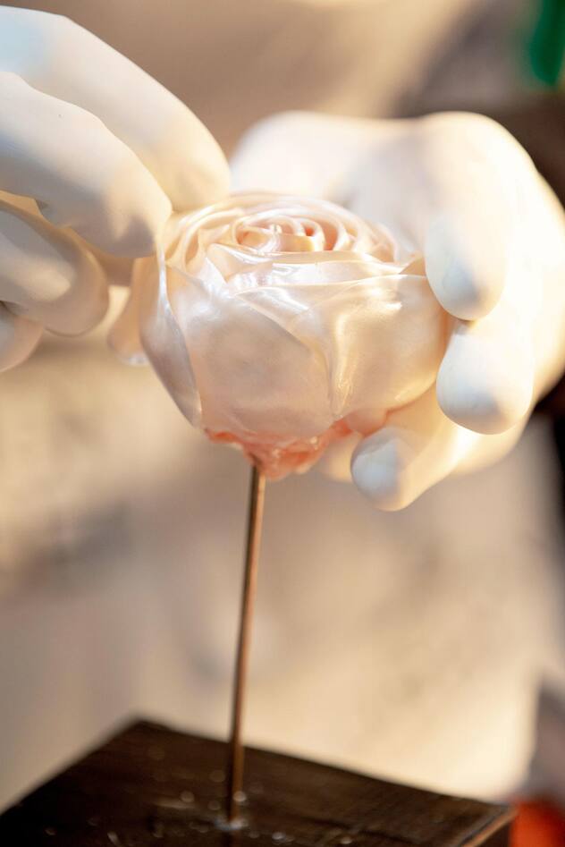 CMpatisserie_equipe suisse_