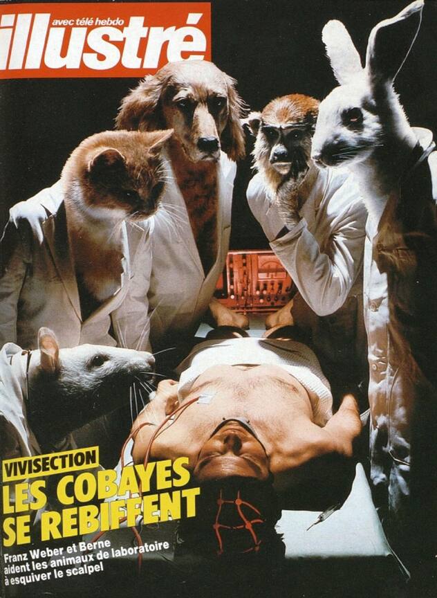 Animaux de laboratoire