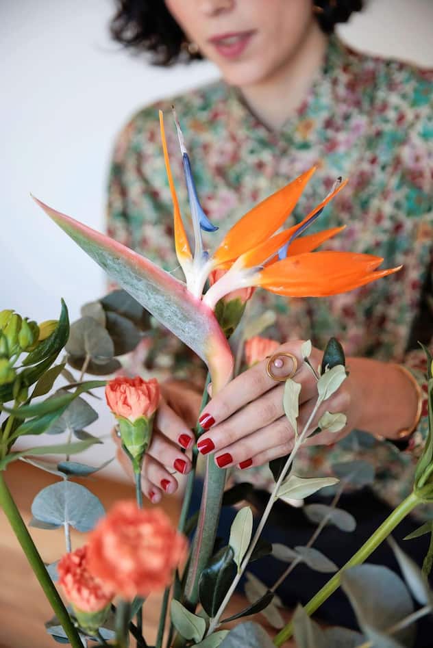 Hannah Schlaepfer