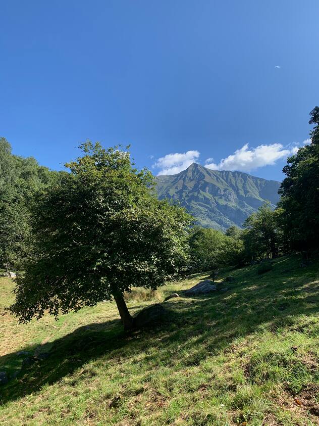 Perbioi (Trekking Mergoscia)