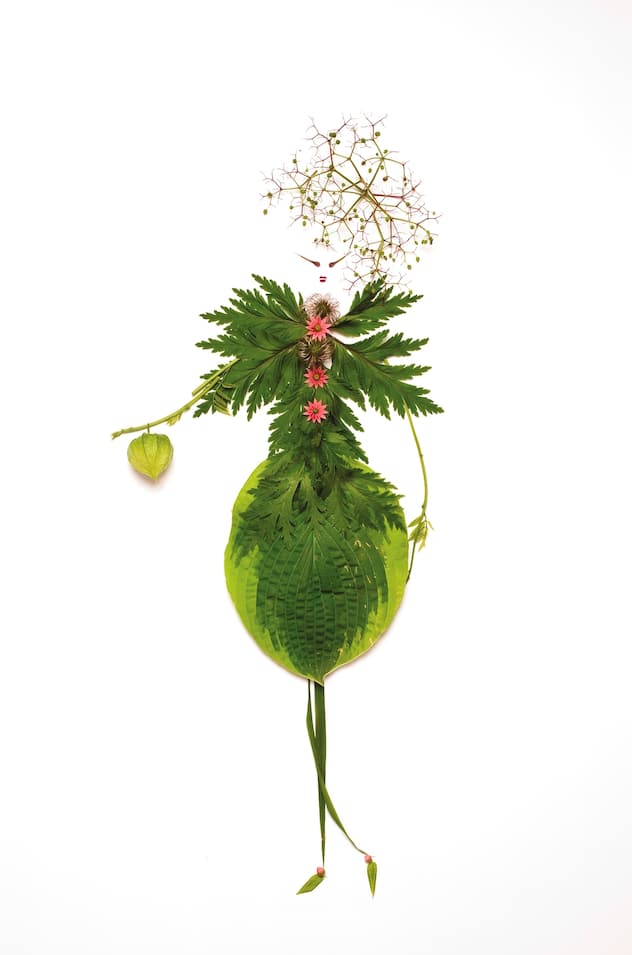 Natures mortes: composition de femmes-fleurs à partir de fleurs et de feuilles