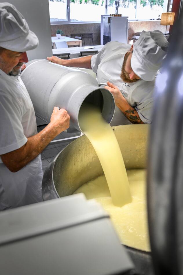Ricotta fromage