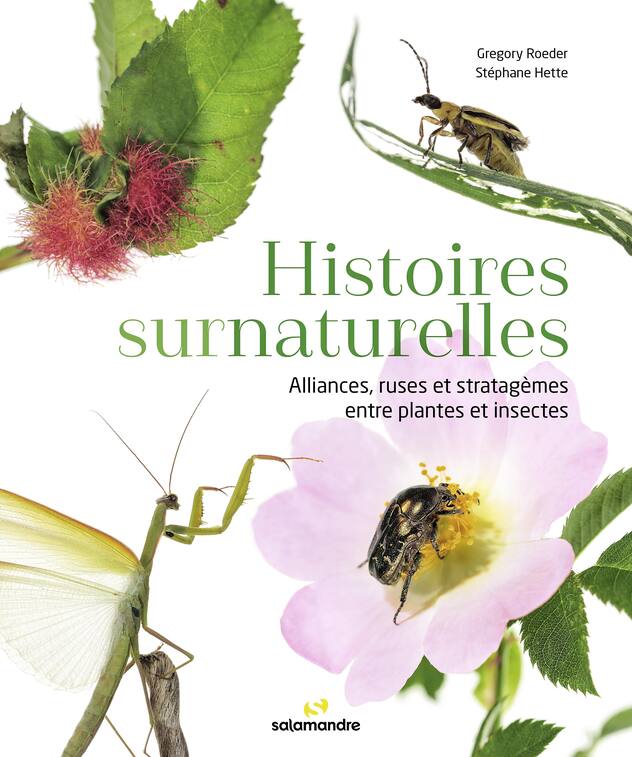livre Histoires surnaturelles