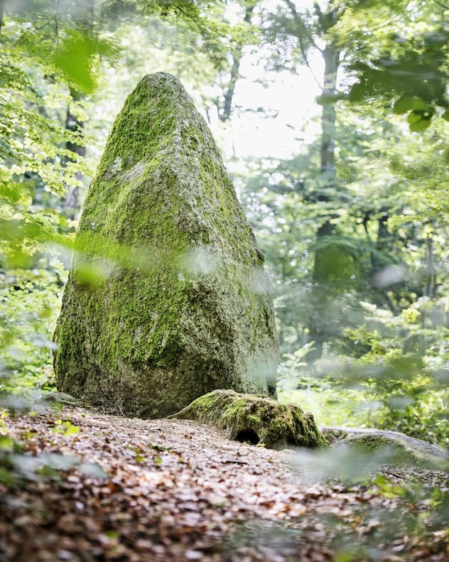 Le grand menhir de la forêt du Devens.