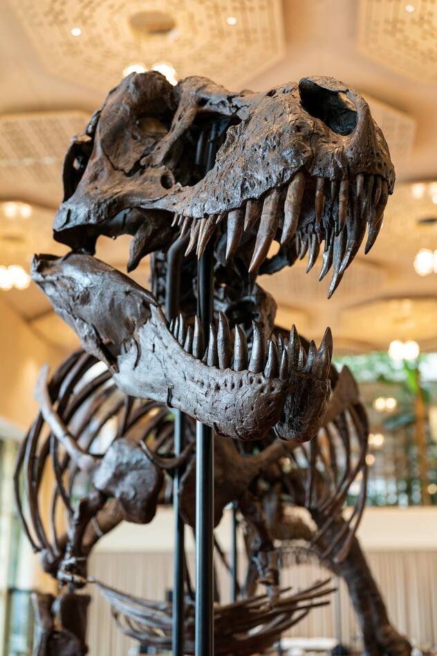 Squelette du T-Rex Trinity