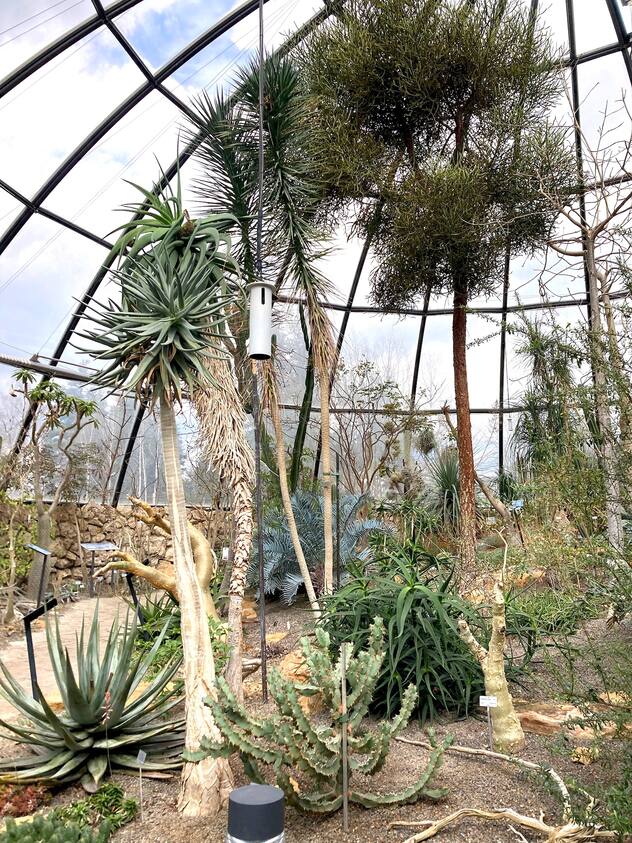 Le jardin botanique