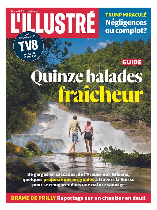 Cover L'illustré n°29